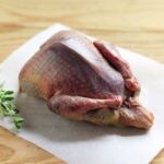 Whole pigeon