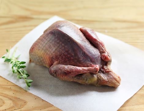 Whole pigeon